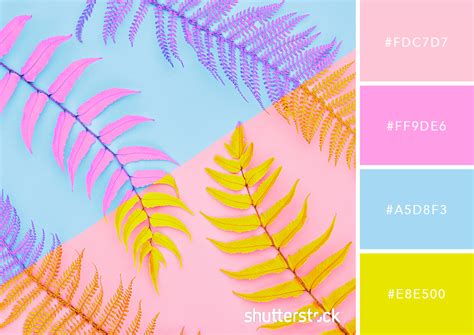 Bright Color Palette