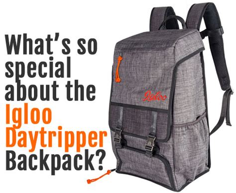 What Makes the Igloo Daytripper Backpack So Special?