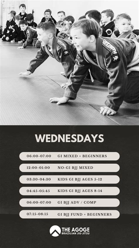 Timetable — The Agoge BJJ