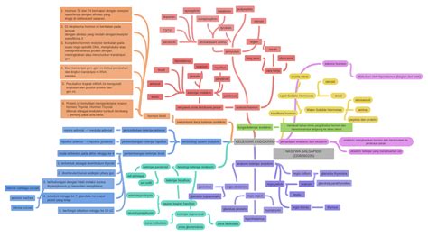 KELENJAR ENDOKRIN, NASYWA SALSAPIDO (2208260105) - Coggle Diagram