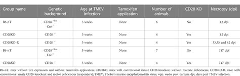 CD28-signaling can be partially compensated in CD28-knockout mice but ...