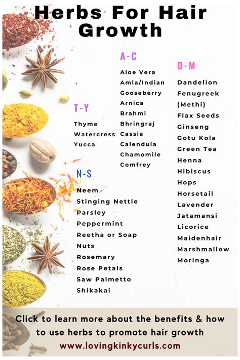 37 Best Herbs for Natural Hair Growth #ayurvedic #hair #care #natural # ...