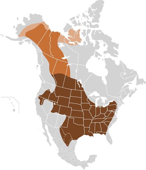 TIL of the Great bison belt. A tract of grassland that ran from Alaska ...