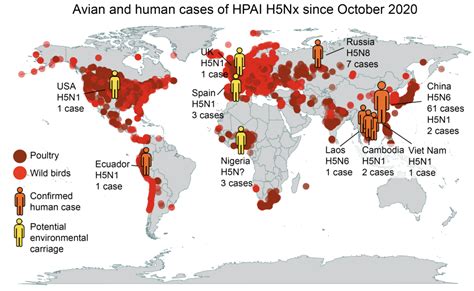 Bird Flu Pandemic 2024 Statistics - Anica Brandie