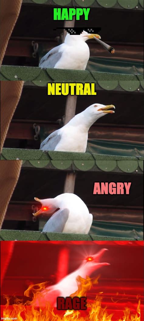 Inhaling Seagull Meme - Imgflip