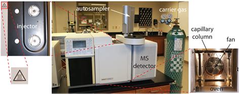 12.4: Gas Chromatography - Chemistry LibreTexts