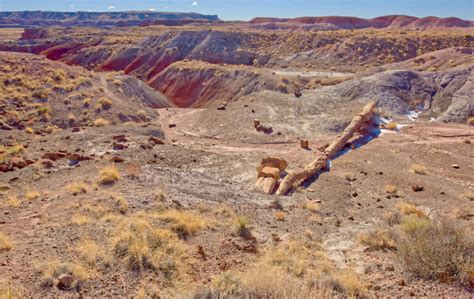 6 Best Petrified Forest National Park Hikes – Bearfoot Theory