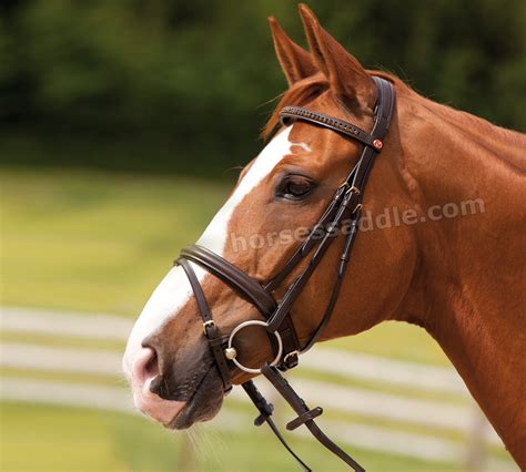 Horse Bridles | fast shipping USA