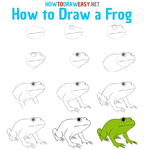 How to Draw a Frog Step by Step | Frog drawing, Easy drawings, Drawing ...