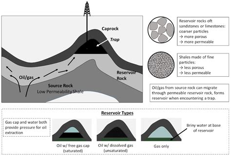 Whence Coal, Oil, and Natural Gas? - EnvironMath!