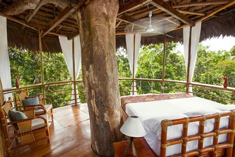 A Guide To The Perfect Honeymoon In The Amazon Rainforest - Rainforest ...