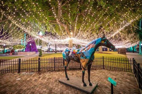 25 Unique & Fun Things to Do in Ocala at Night | 2024 (with Photos)