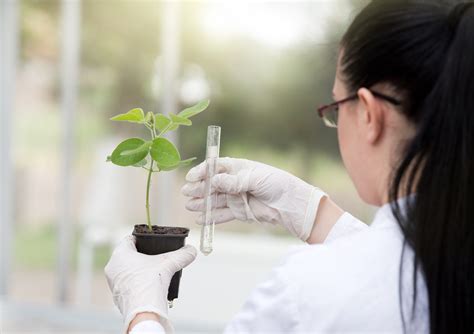 What is the Best Degree for Becoming an Agricultural Scientist?