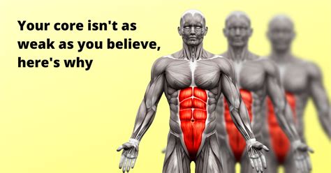 Your core isn't as weak as you believe, here's why - Modern ...