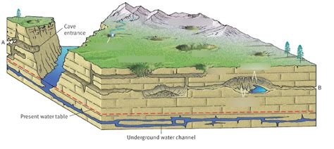 Karst Landscape Diagram | Quizlet