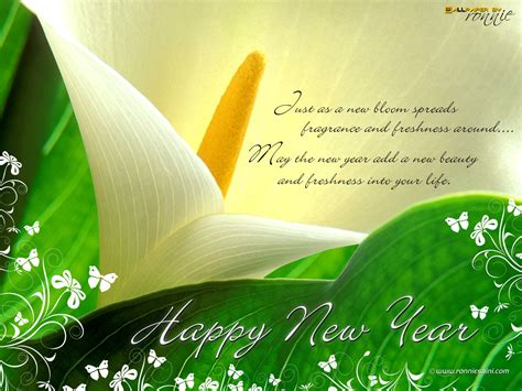 2013 New Year Wishes Wallpapers and sms...