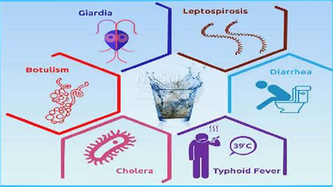 Tips to save ourselves from waterborne disease? Netsol Water