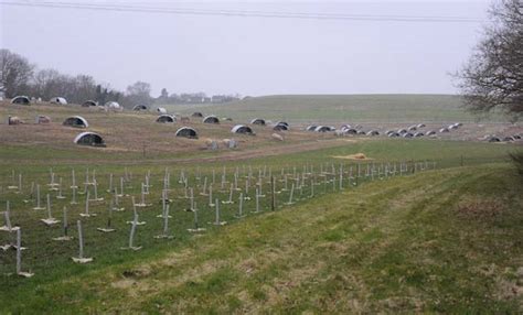 Government asked to support game-changing agroforestry systems ...