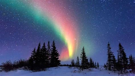 Aurora Borealis Between The Trees Time Lapse [HD] - YouTube