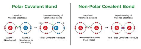 Covalent Bond - Definition, Examples, Types, Properties, & FAQs