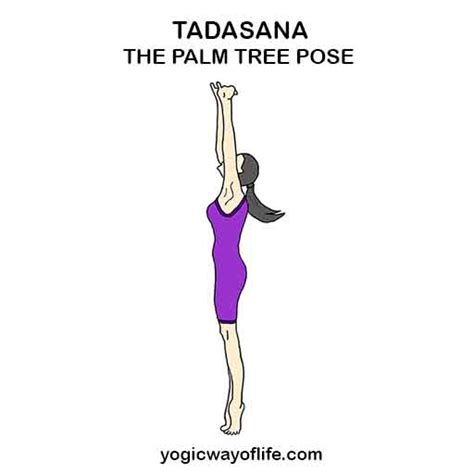 Tadasana - The Palm Tree Pose