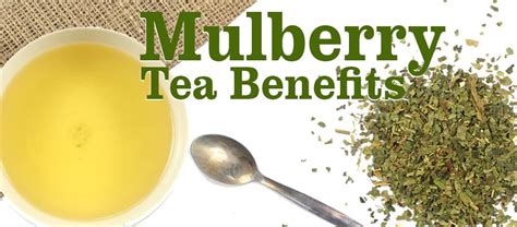 Mulberry Tea Benefits | Kent Tea & Coffee Co