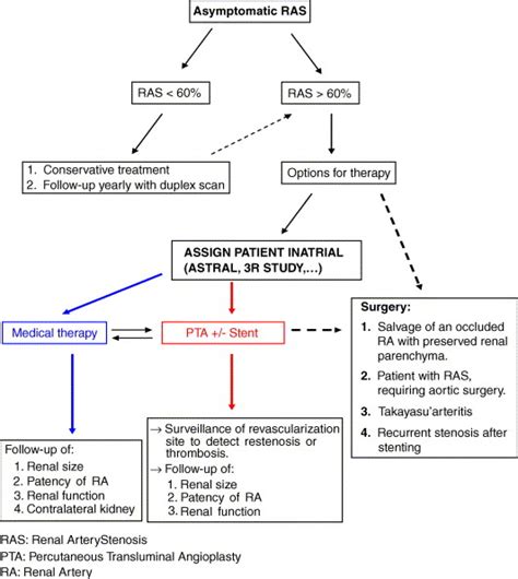 A Review of the Current Treatment of Renal Artery Stenosis - European ...