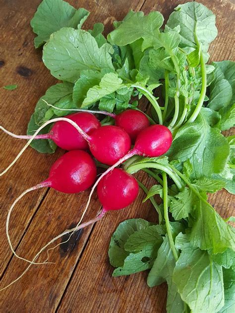 Red radish are delicious pan-fried in butter and served hot!