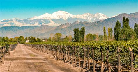 Guide To Mendoza Wine Regions: 12 Of The Best Wineries To Visit