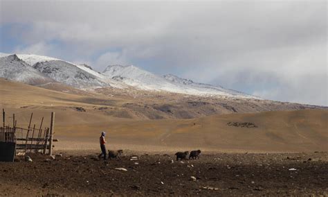 Adapting to new challenges in the Tian Shan Mountains | Stories | WWF