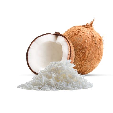 Coconut meat – Thabico Group