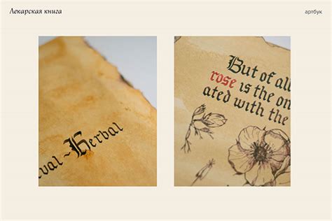 Medieval Medicine Artbook + Calligraphy Studies on Behance