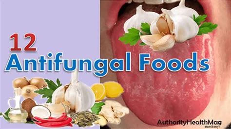 12 Antifungal Foods | Best Anti-Candida Diet Food List