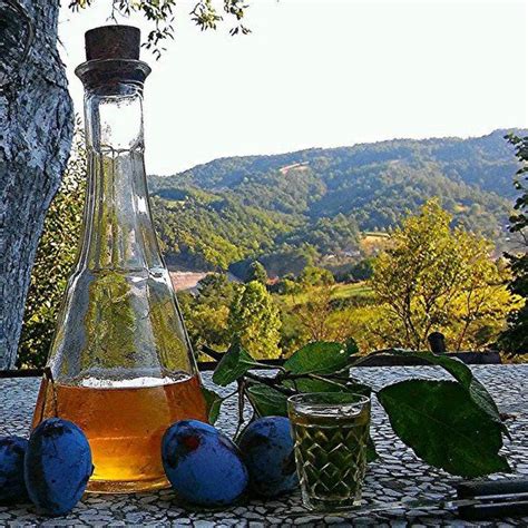 171 best images about Slivovitz on Pinterest | Serbian, Cuban cigars ...