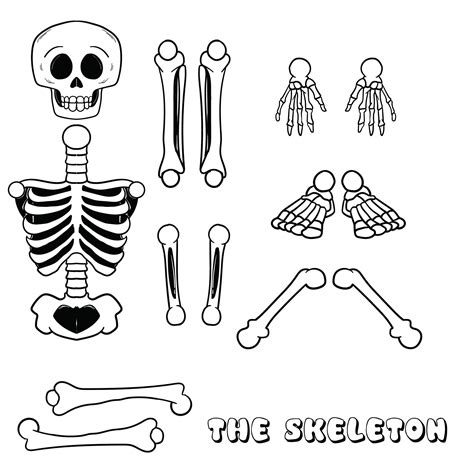 10 Best Large Printable Skeleton Template - printablee.com Skeleton For ...