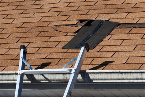 Asphalt Roof Shingles in Vancouver | Asphalt Roofing by Marks Roofing