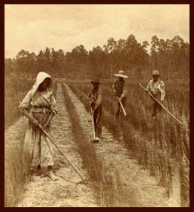 Slave Clandestine Economy | NCpedia