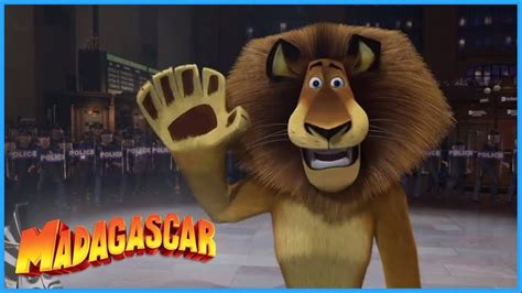 DreamWorks Madagascar | Alex: Your Favorite Lion 🦁 | Madagascar Movie ...