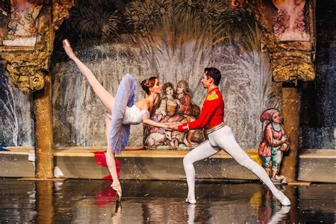 The Nutcracker's Many Lives - The Adelaide Review