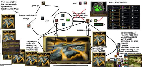 Informative BM Hunter Guide : wow