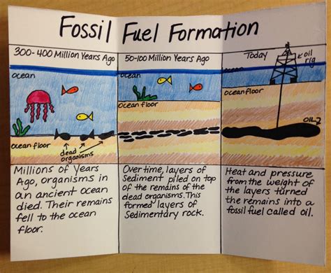 Fossil Fuel Formation - Education Level - Upper Elementary Resources