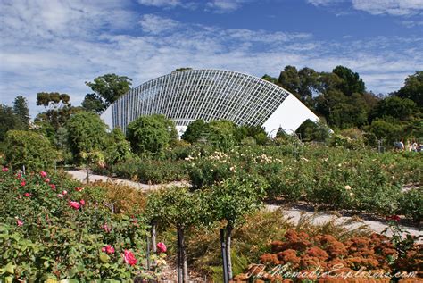 Adelaide Botanic Garden | The Nomadic Explorers | Australian Travel Blog