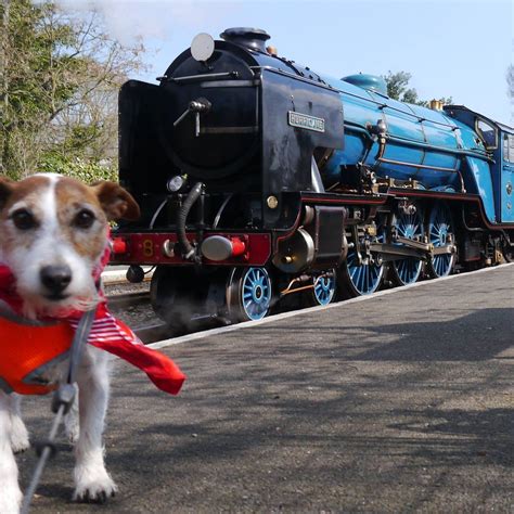 Romney, Hythe and Dymchurch Railway - Home | Facebook