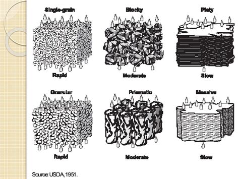 PPT - Understanding Soil Texture and Structure PowerPoint Presentation ...