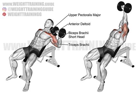 Incline one-arm dumbbell bench press exercise instructions and video