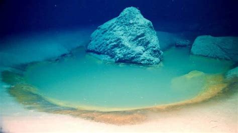 Researchers discover lethal brine pool in the Red Sea | Mint Lounge