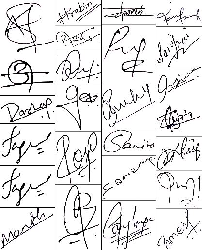 Samples of the collected signatures | Download Scientific Diagram