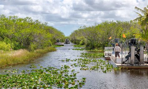 All About Alligator Alley: A Scenic Route Through The Florida ...