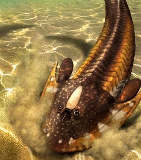 Silurian-Devonian Jawless Fish were Ecologically Diversified | Sci.News