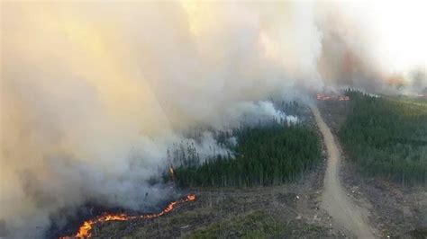 Le feu de forêt de Labrieville continue de prendre de l'ampleur | ICI ...